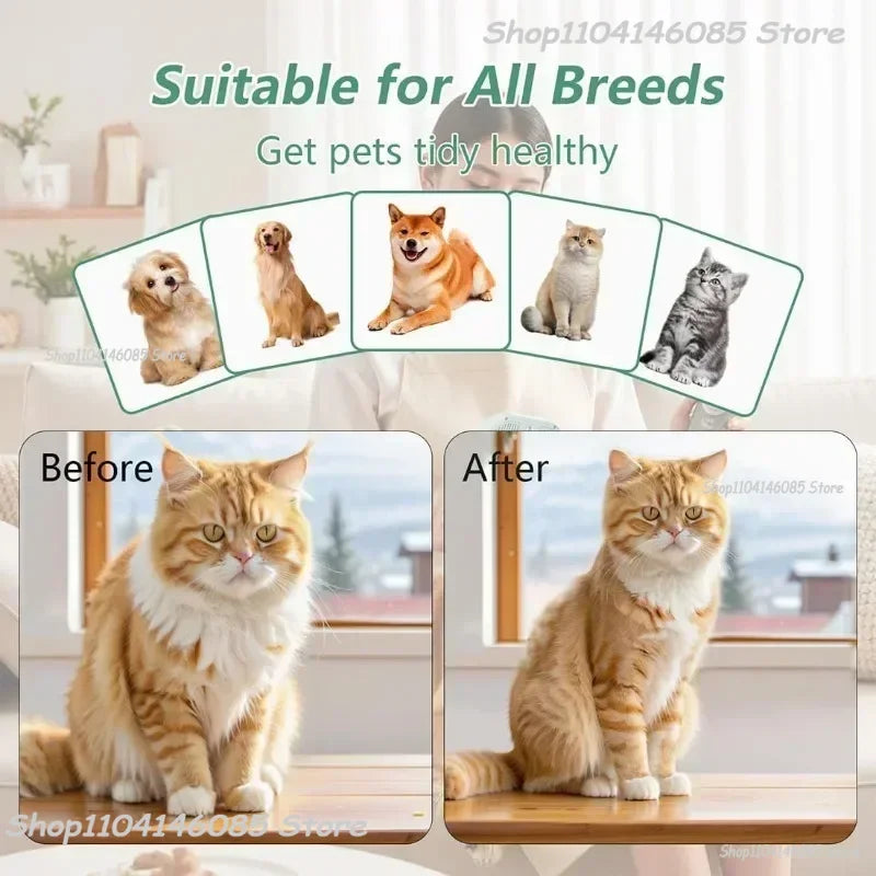 Dog Spray Hair Comb Pet Steam Massage Brush Safe Round Head Soft Teeth Spray Hair Removal Comb for Dog Cat Cleaning Brush